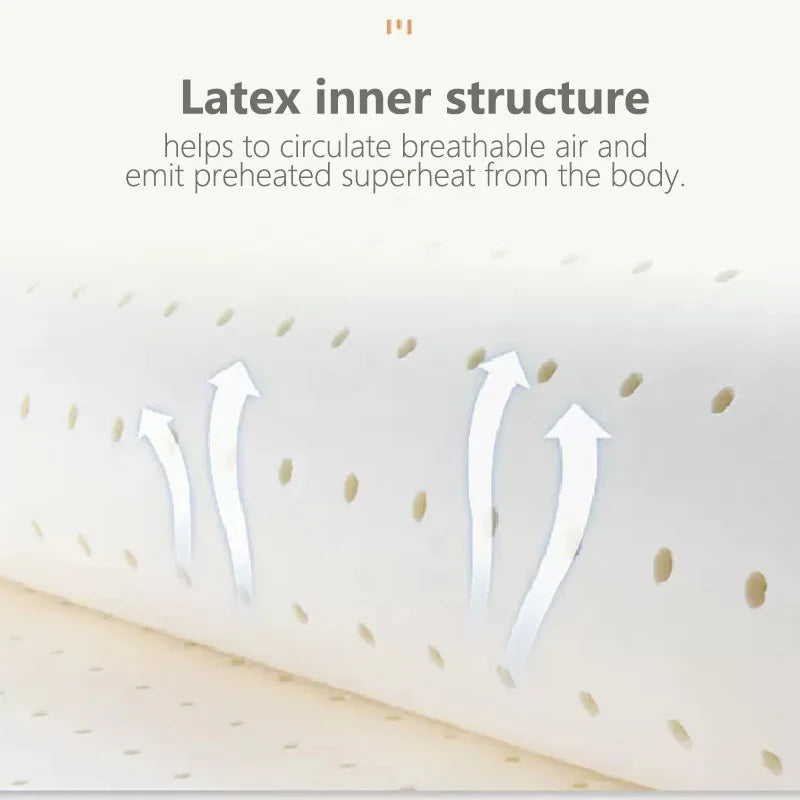 Brehn | Ultra Cooler Latex Washable Comfortable Reading Back Cushion