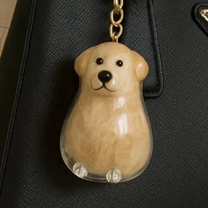 Transparent fur memory tag Bowlift