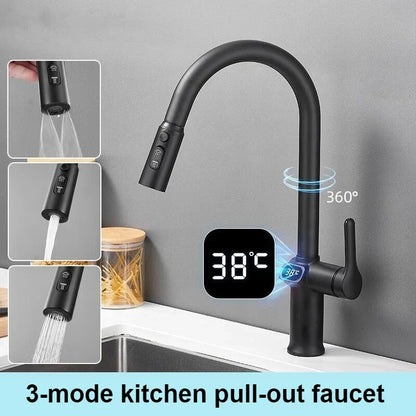 Skanto | Pull-out Kitchen Faucet with Digital Display and Swivel Spout