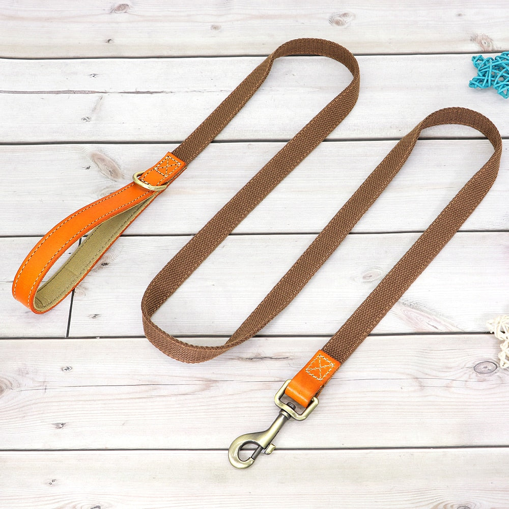 Skanto | Custom Dog Collar - Leash Set
