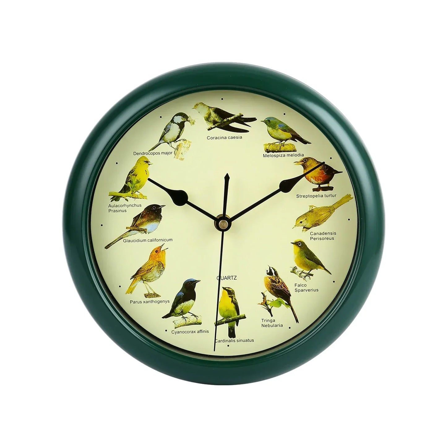 BirdSong Clock – 10-Inch Wall Clock for Stylish Interiors Skanto