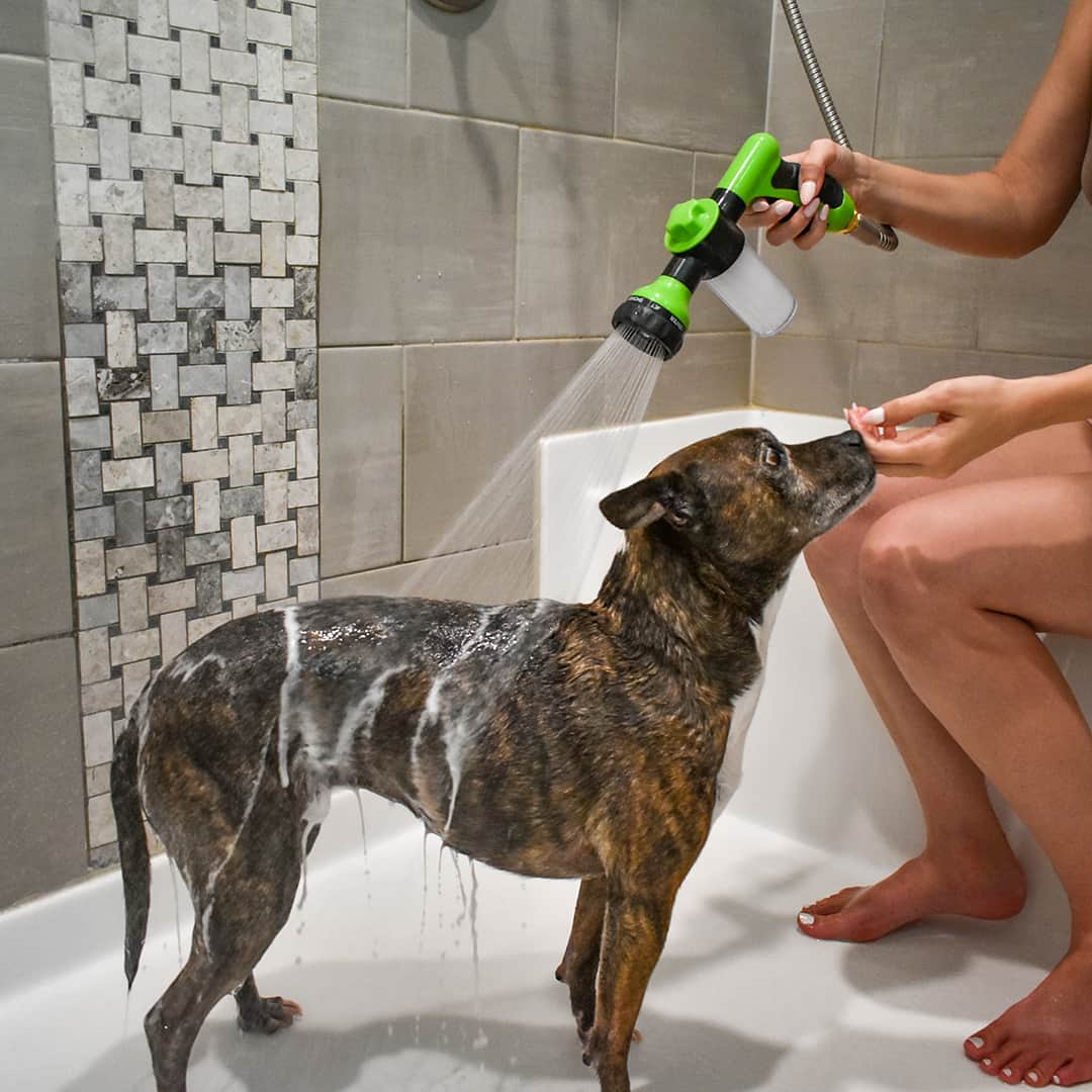 Skanto | Dogjet Pro™ - Wash Your Dog Effortlessly in Record Time!
