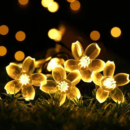 Kalsten | Peach Blossom Fairy Lights