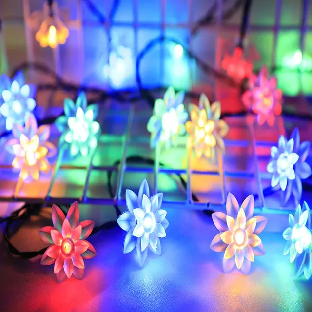 Brehn | Peach Blossom String Lights
