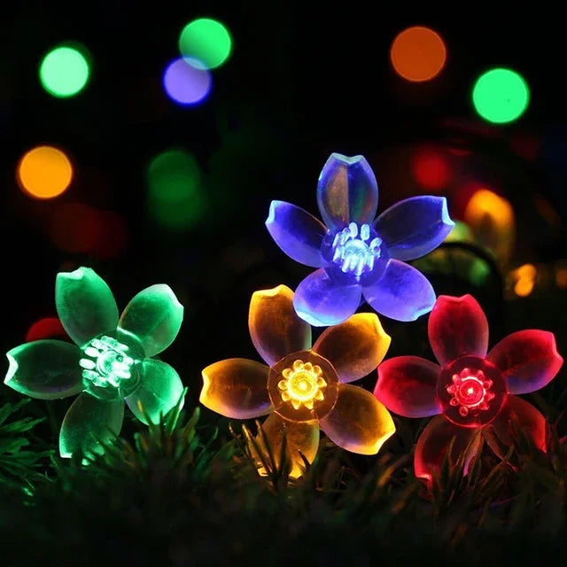 Brehn | Peach Blossom String Lights