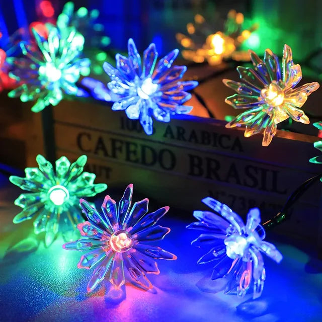 Skanto | Peach Blossom Fairy Lights