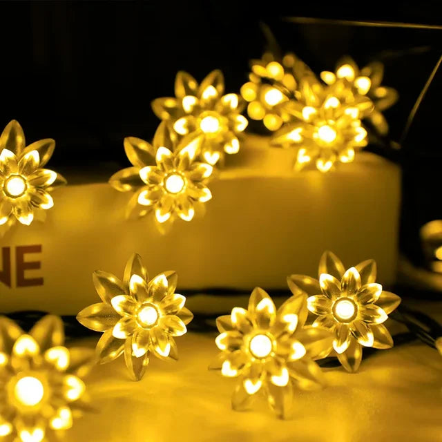 Brehn | Peach Blossom String Lights
