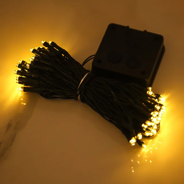 Brehn | Peach Blossom String Lights