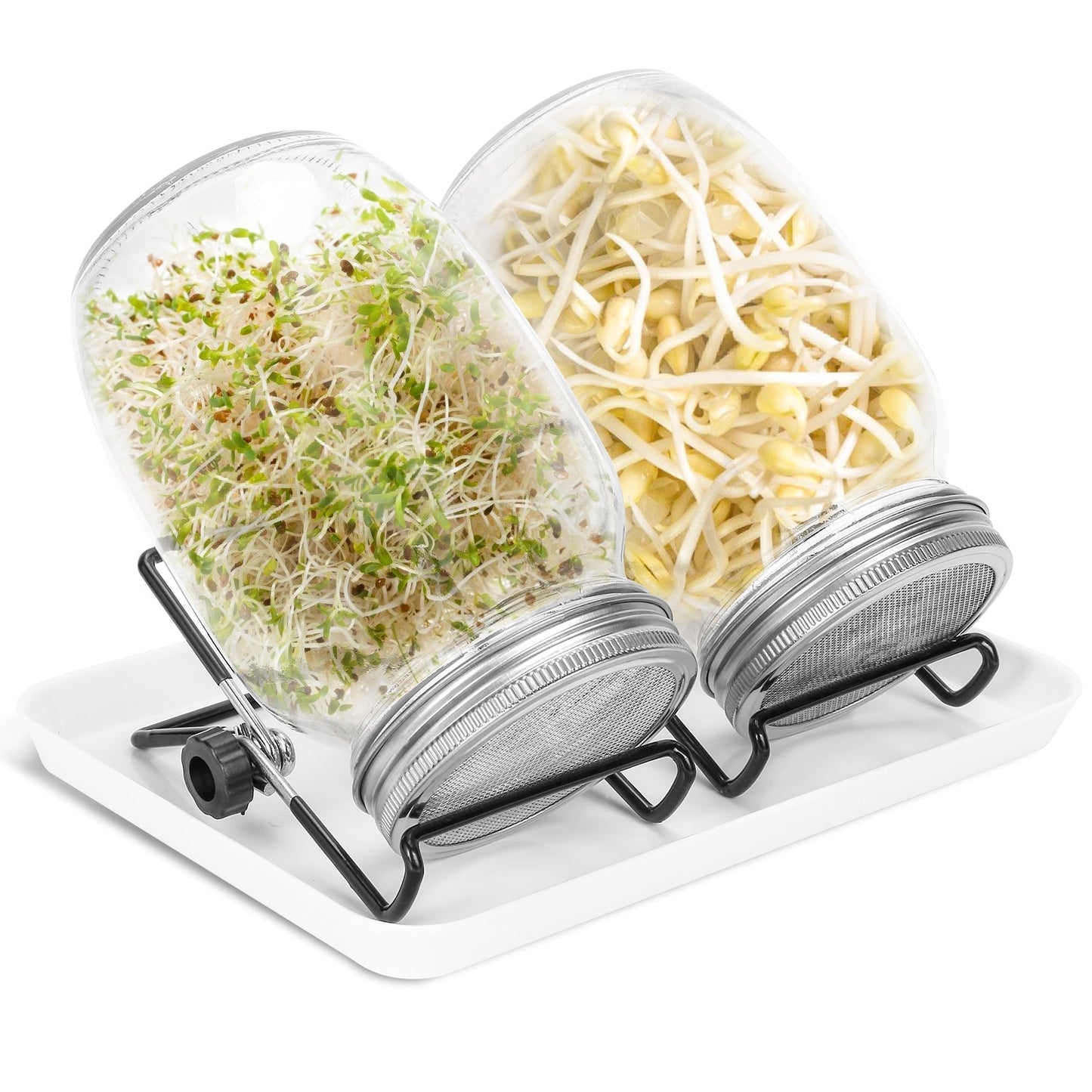 Sprouting glass germination glass 2pcs with lid & sieve 950ML | Bowlift