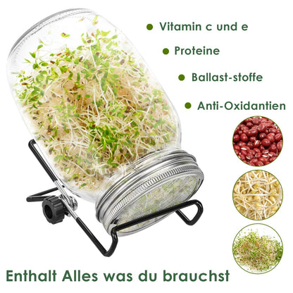 Sprouting glass germination glass 2pcs with lid & sieve 950ML | Bowlift
