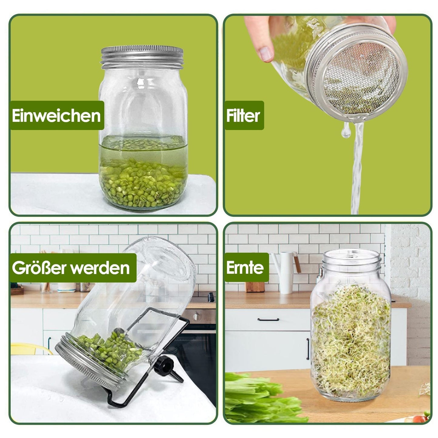 Sprouting glass germination glass 2pcs with lid & sieve 950ML | Bowlift