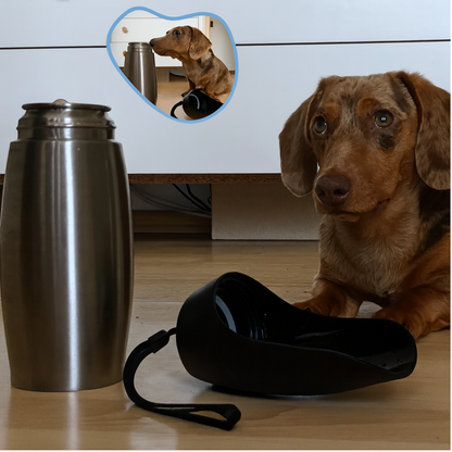 BowLift | Stainless Steel Dog Water Bottle Portable Leak Proof Travel Bowl