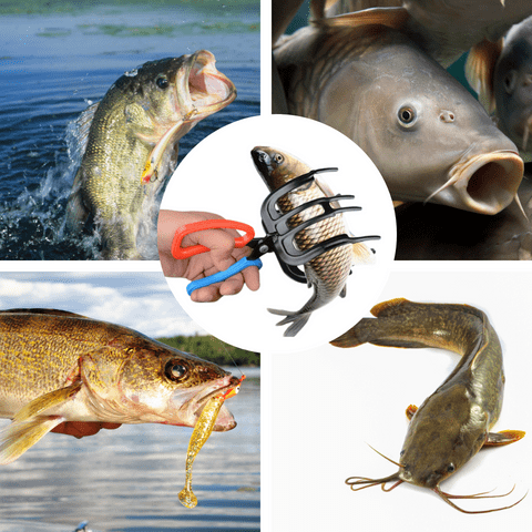 BowLift | a Fishing Pliers Gripper Metal Fish Control