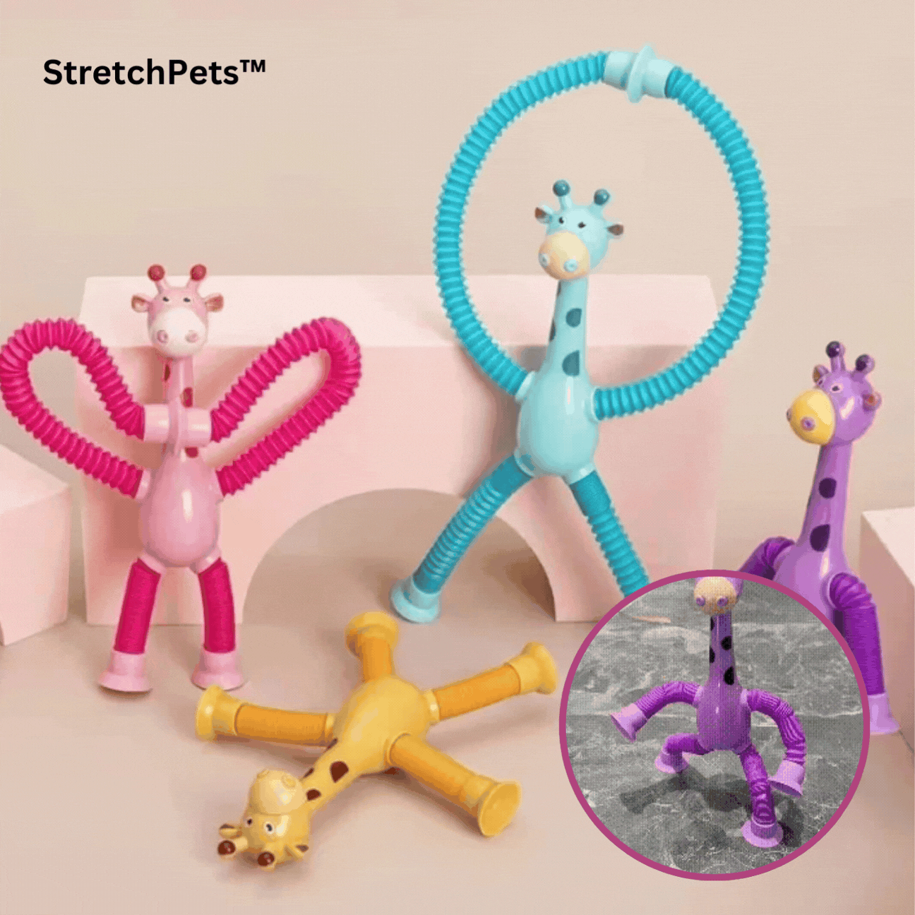 Skanto | StretchPets™ Endless Play Possibilities
