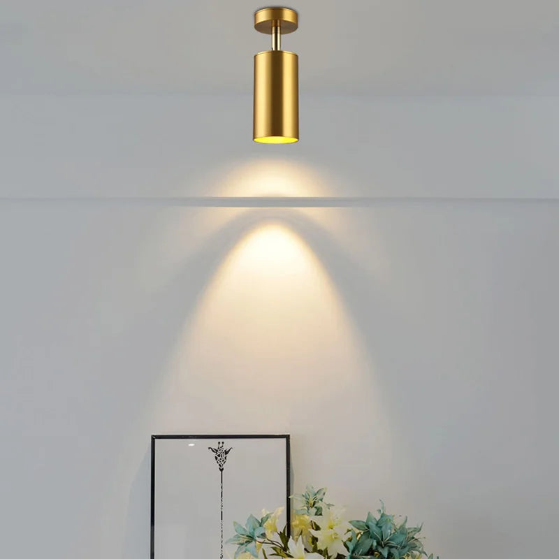 Modern swivel LED ceiling light in Gold – Adjustable lighting for living and working areas | Karnz