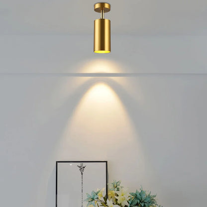 Modern swivel LED ceiling light in Gold – Adjustable lighting for living and working areas | Karnz