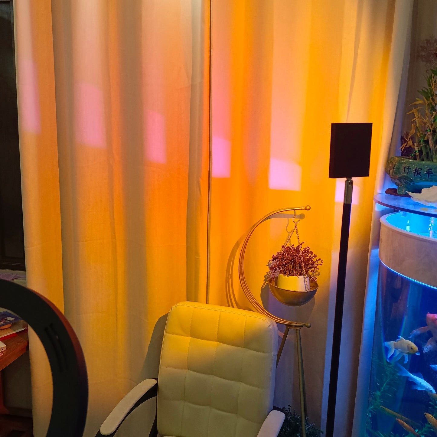 Frendorf | LED Color Projector Floor Lamp | Minimalist Halo Light Effect