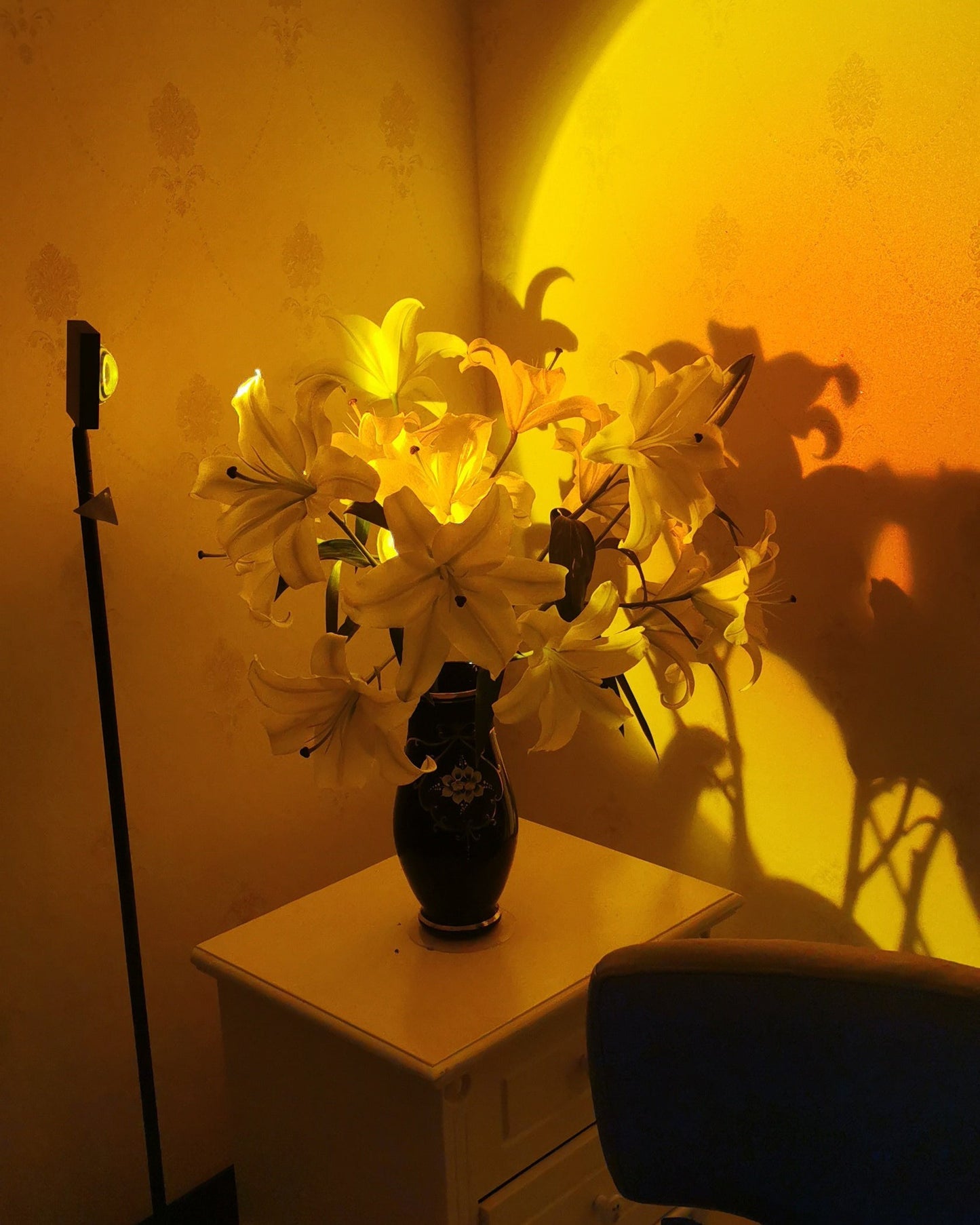 Frendorf | LED Color Projector Floor Lamp | Minimalist Halo Light Effect