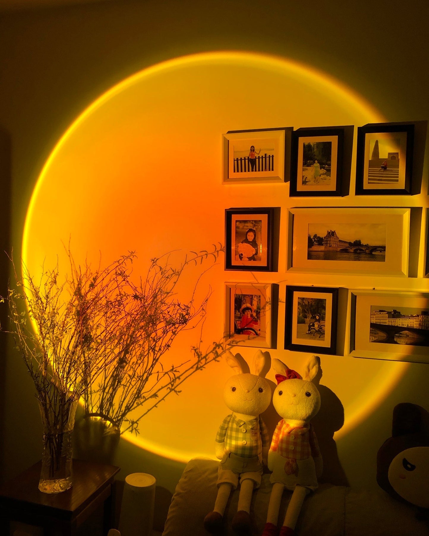 Frendorf | LED Color Projector Floor Lamp | Minimalist Halo Light Effect