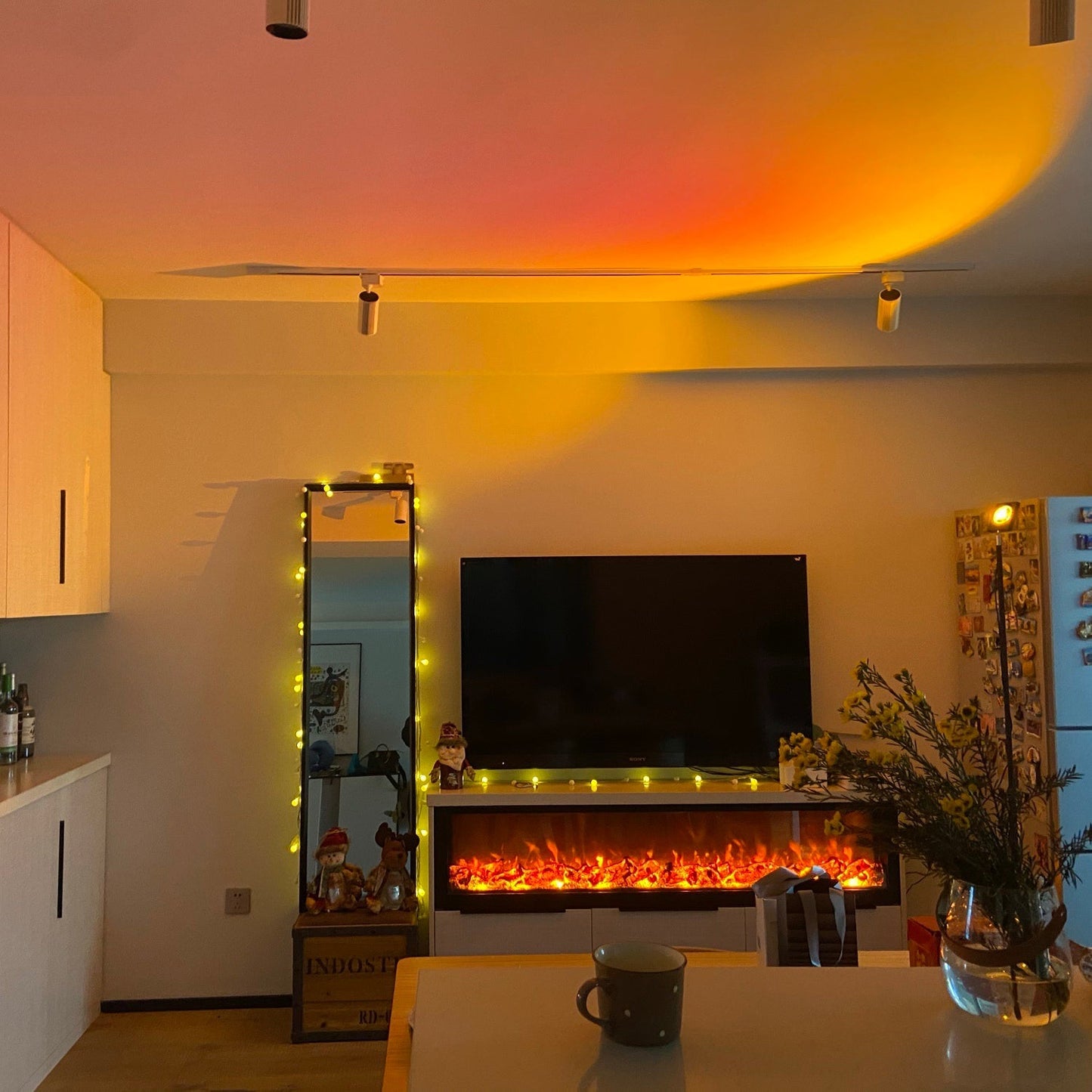 Frendorf | LED Color Projector Floor Lamp | Minimalist Halo Light Effect