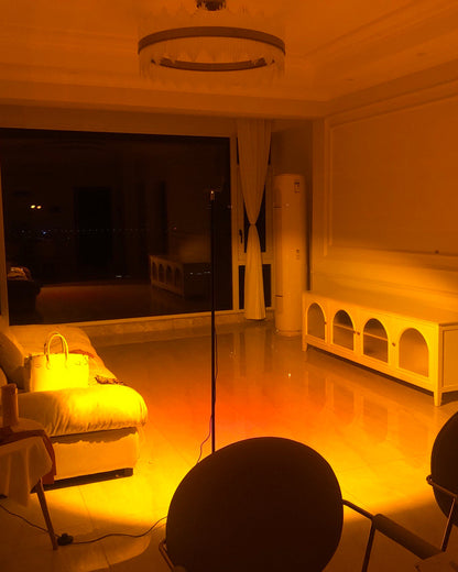Frendorf | LED Color Projector Floor Lamp | Minimalist Halo Light Effect