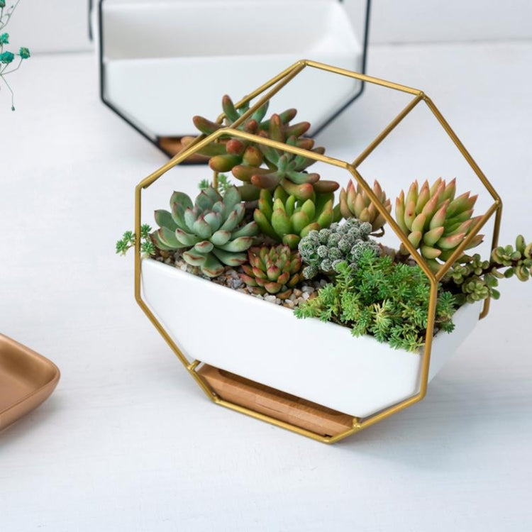BowLift | Simple octagonal geometric wall-mounted table succulent plate bamboo support iron frame flower pot (Gold)