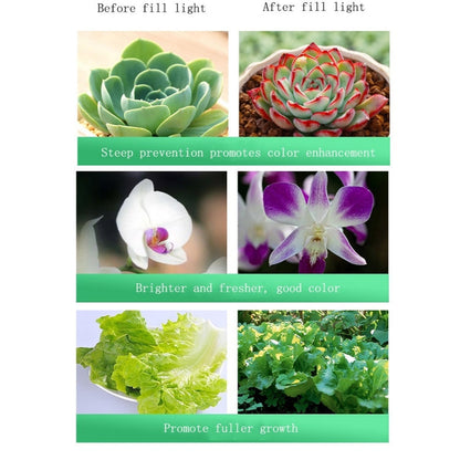 BowLift | 35w Cutout 150mm LED Full Spectrum Plant Growth Light