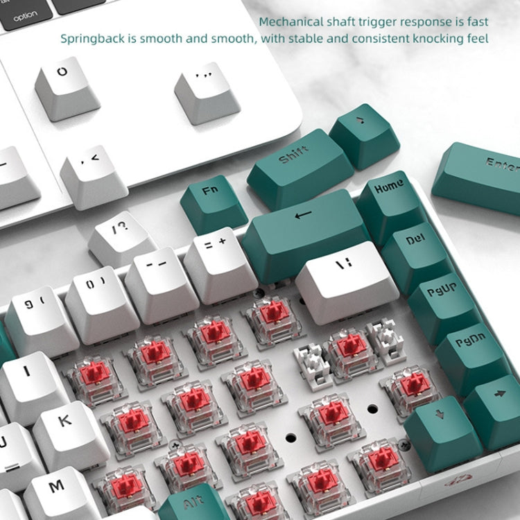 Sandsberg | ZIYOU LANG T8 68 Keys RGB Gaming Mechanical Keyboard, Cable length: 1.5m, Style: Micro Light Version Green Shaft