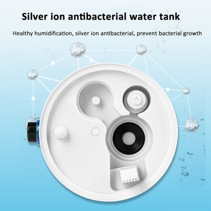 Sandsberg | 4L Reptile Humidifier Fogger Cool Mist Mister with Hose for Turtle Habitat EU Plug