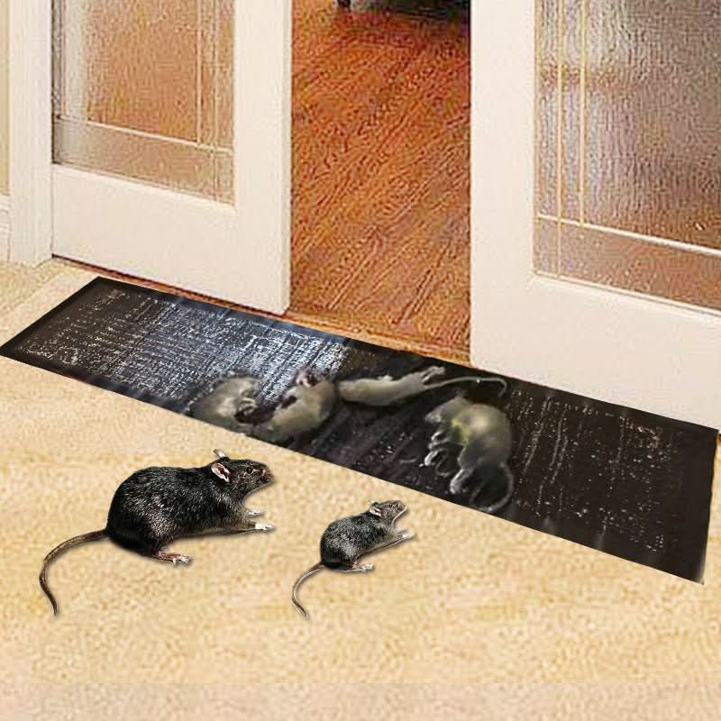 BowLift | Large Non-toxic Glue Trap for Effective Pest Control