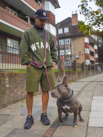 FreedomLeash – Innovative Hands-Free Dog Leash Skanto