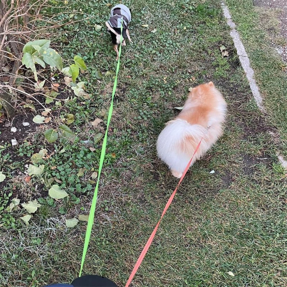 TangleFree Double Leash – Tangle-free leash for easy walking with two dogs | Karnz