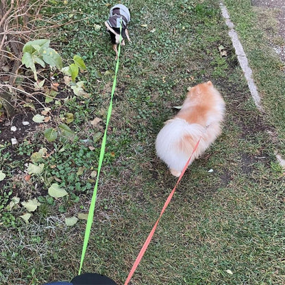 TangleFree Double Leash – Tangle-free leash for easy walking with two dogs | Karnz