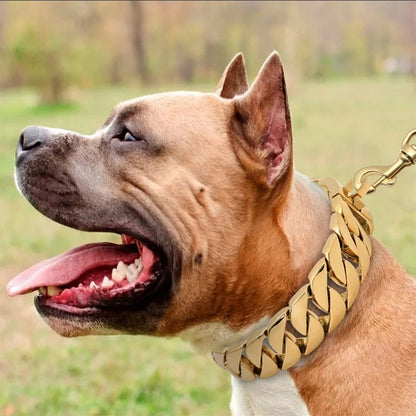 Brehn | KrachtNeck Metal Dog Collar – Robust Stainless Steel Collar for Large Dogs