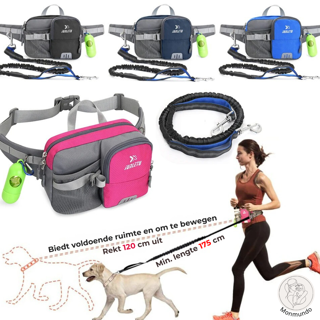 Dog Leash Hip Bag Set | Skanto