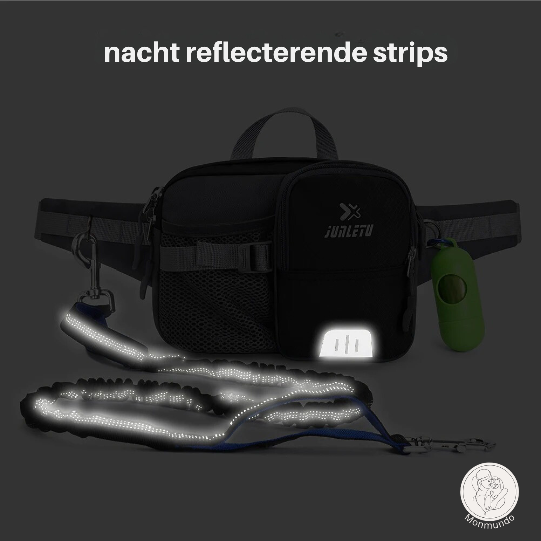 Dog Leash Hip Bag Set | Skanto