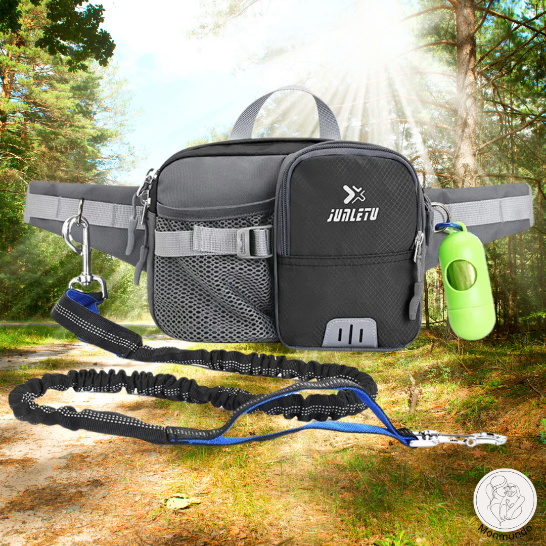 Dog Leash Hip Bag Set | Skanto