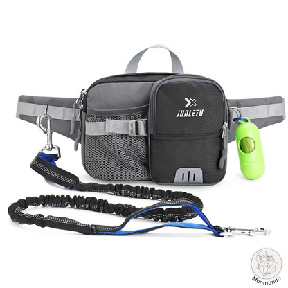 Dog Leash Hip Bag Set | Skanto