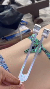 Skanto | Tuning Fork Set