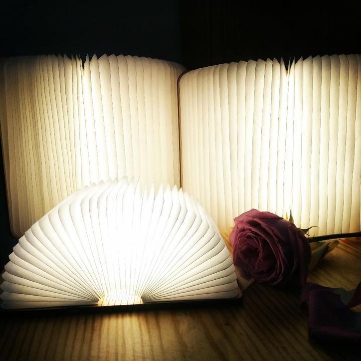 BowLift | Lumio Style LED (Folding) Book Lamp!
