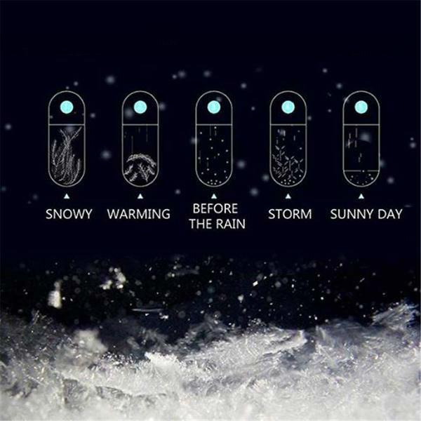 Skanto | Skanto Storm Glass Weather Forecasting Bottle Crystal Desk Barometer with Wooden Frame