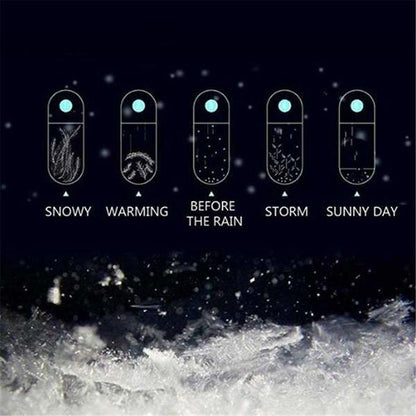 Skanto | Skanto Storm Glass Weather Forecasting Bottle Crystal Desk Barometer with Wooden Frame