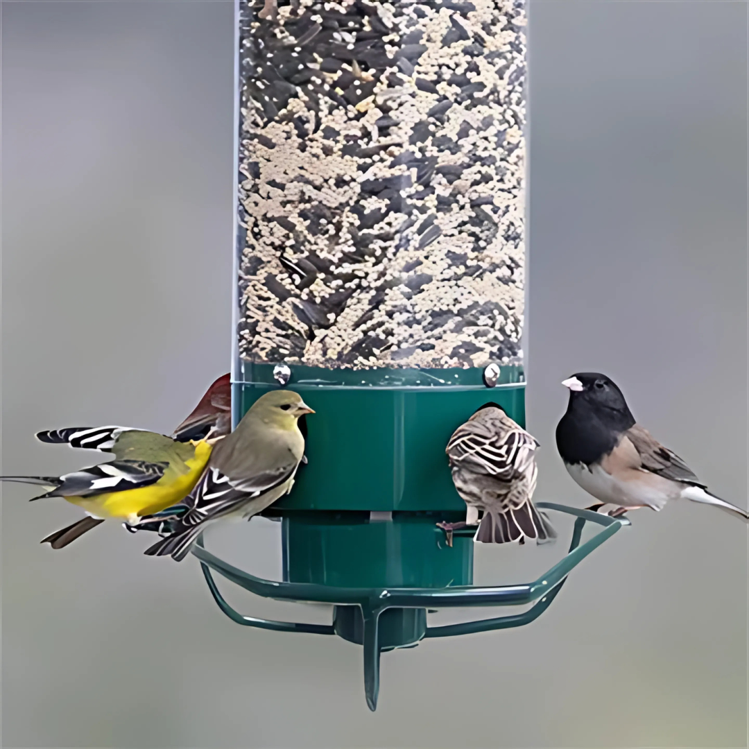 Skanto | Squirrel-Proof Metal Hanging Bird Feeder