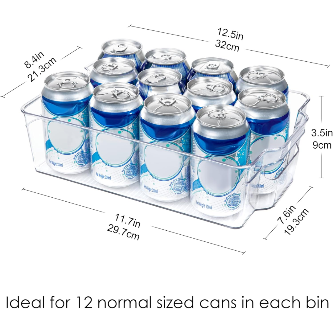 Skanto | Clear Fridge Storage Boxes (4 Pieces) - Coolorganize