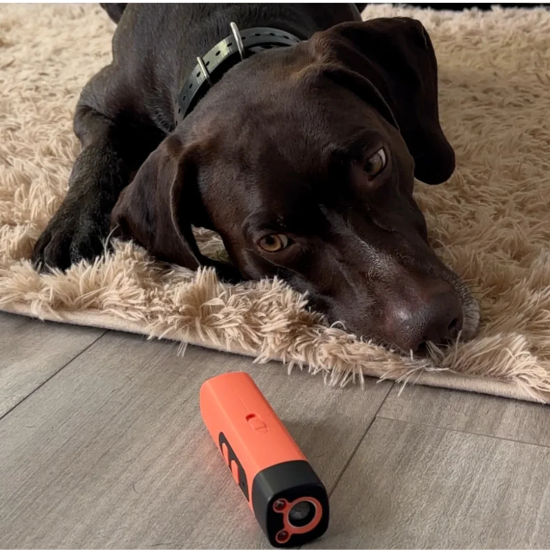 BarkProtection - Dog-friendly anti-bark ultrasonic device Bowlift