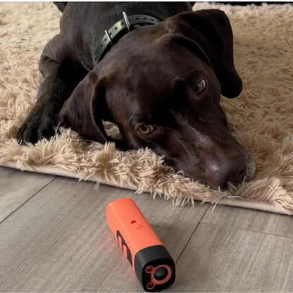BarkProtection - Dog-friendly anti-bark ultrasonic device Bowlift
