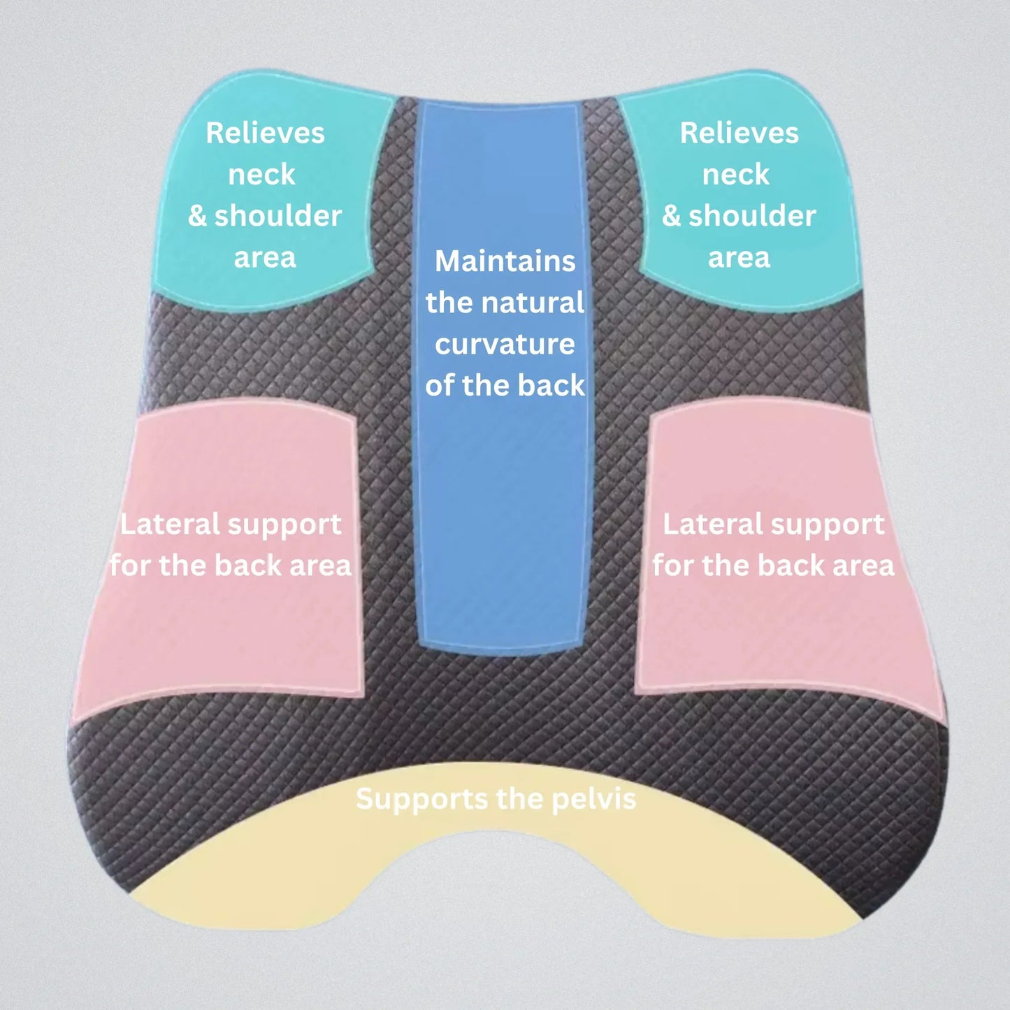 BowLift | Orthopedic Seat Cushion | Ergonomic Design for Back Pain Relief & Comfort at Home or Office
