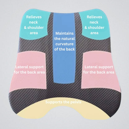BowLift | Orthopedic Seat Cushion | Ergonomic Design for Back Pain Relief & Comfort at Home or Office