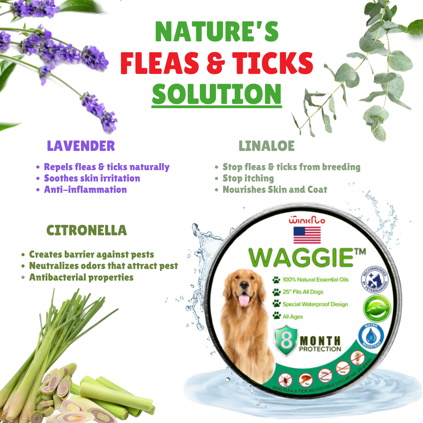 Skanto | Waggie - Natural Flea, Tick, & Mosquito Collar (Safest 8+ Months Protection)