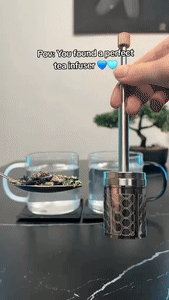 BowLift | Stainless Steel Reusable Press Tea Infuser